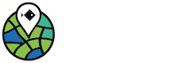 Flyfish Intelligence